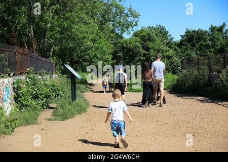 Parland Walk, un parc linéaire, anciennement une ligne de chemin de fer, allant de Finsbury Park à Muswell Hill et maintenant une réserve naturelle, dans le nord de Londres, Royaume-Uni Banque D'Images