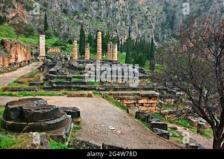 Le temple d'Apollon à l'ancienne Delphes, le « nombril » du monde antique, Fokida, Grèce centrale. Banque D'Images