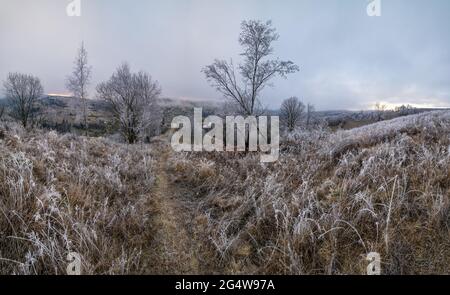 L'hiver approche. Scène pittoresque avant le lever du soleil au-dessus de la fin de l'automne campagne de montagne avec du givre sur les herbes, les arbres, les pentes. Rayons de soleil paisibles f Banque D'Images