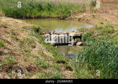 Le petit réservoir est bloqué par le grand rocher pour le stockage de l'eau à utiliser dans la ferme de campagne en été, vue de face avec l'espace de copie Banque D'Images