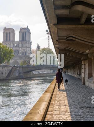 Paris, France - 05 02 2021 : une fille et son chien marchant le long du quai de Seine près de la cathédrale notre-Dame et de l'Ile de la Cité sous le pont Saint-Michel Banque D'Images