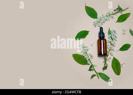 Sérum cosmétique naturel pour le visage avec huile essentielle florale et extraits de plantes sur fond beige avec espace de copie, vue de dessus de la beauté propre organique et sk Banque D'Images