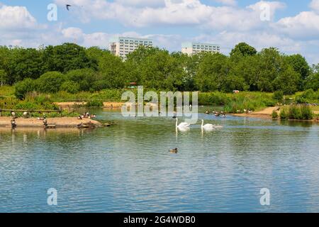 Jubilee Pond, Wanstead appartements, parc, Forest Gate, E7, Londres, royaume-uni Banque D'Images