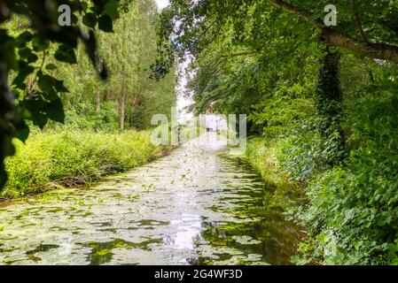 Moulin de Lode, un moulin à eau en activité utilisé pour la mouture de maïs à l'abbaye d'Anglesey, une maison de campagne de style jacobean à Lode, près de Camdridge, Royaume-Uni, Banque D'Images