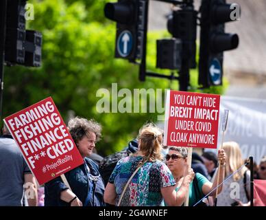 Londres, Royaume-Uni. 23 juin 2021. Des militants anti-Brexit avec des pancartes exprimant leur opinion, lors de la manifestation à l'échelle du Royaume-Uni contre « ce gouvernement corrompu », appelée par Steve Bray sur la place du Parlement. Crédit : SOPA Images Limited/Alamy Live News Banque D'Images