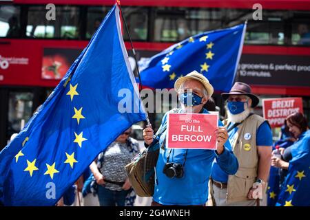 Londres, Royaume-Uni. 23 juin 2021. Un activiste anti-Brexit tenant une plaque exprimant son opinion et le drapeau de l'UE, lors de la protestation à l'échelle du Royaume-Uni contre « ce gouvernement corrompu » appelé par Steve Bray sur la place du Parlement. Crédit : SOPA Images Limited/Alamy Live News Banque D'Images