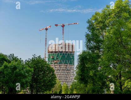 milan italie 4 mai 2021: Bibliothèque d'arbres en construction dans le nouveau quartier de l'île de milan Banque D'Images