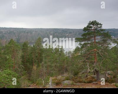 Paysage du parc national Nuuksio près d'Helsinki, en Finlande, avec l'un de ses lacs Banque D'Images