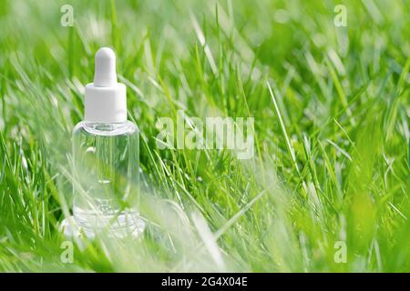 Flacon en verre transparent avec sérum, huile essentielle, produit de beauté cosmétique anti-âge de collagène parmi le champ d'herbe verte. Cosmétiques naturels biologiques Banque D'Images