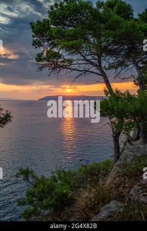 Baie de Makarska Riviera au coucher du soleil avec arbre en premier plan Banque D'Images