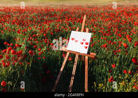 Toile de fleurs de pavot peintes sur chevalet au milieu du terrain Banque D'Images