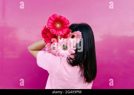 Jeune femme se cachant face avec des pâquerettes roses de Gerbera par mur Banque D'Images