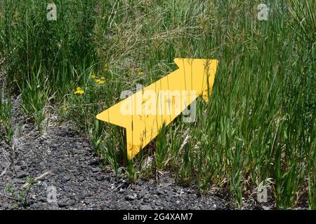 Flèche de direction jaune pointant de la route asphaltée vers des herbes sauvages comme concept pour voyager le moins connu hors des sentiers battus Banque D'Images