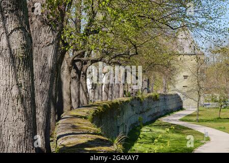 Mousse sur le mur de soutènement à côté du sentier au musée de la porte d'Osthofen, Soest, Rhénanie du Nord Westphalie, Allemagne Banque D'Images