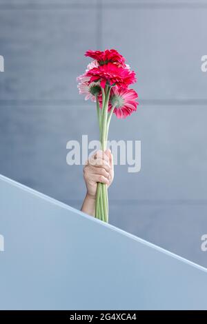 Femme tenant un bouquet de fleurs derrière la main courante Banque D'Images