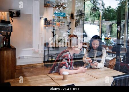 Des amies partageant leur smartphone au café Banque D'Images