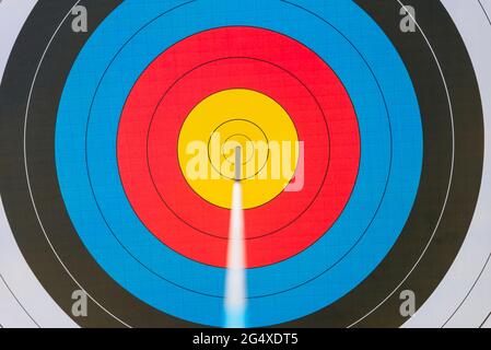 Cible de tir à l'arc avec flèche dans l'œil de taureau Banque D'Images