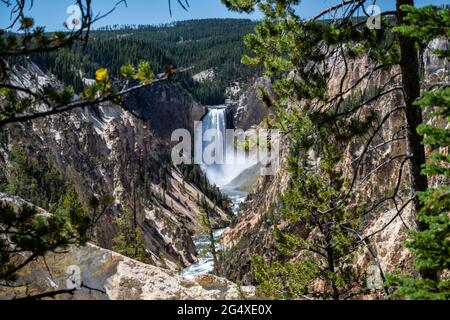 Le célèbre Grand Canyon de la Yellowstone dans le Wyoming Banque D'Images