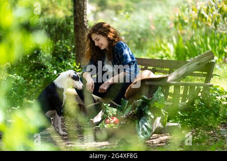 Femme assise sur un banc en bois avec un chien dans le jardin Banque D'Images