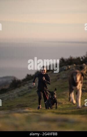 Jeune femme en train de courir avec des chiens en style canicross Banque D'Images