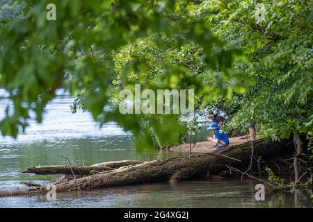 Père et enfants sur la rive de la rivière Chattahoochee au parc Island Ford, dans l'aire de loisirs nationale de la rivière Chattahoochee, près d'Atlanta. Banque D'Images