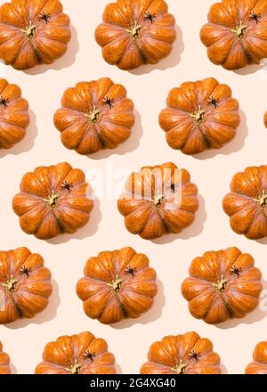 Motif Halloween d'araignées assises sur des citrouilles crues Banque D'Images