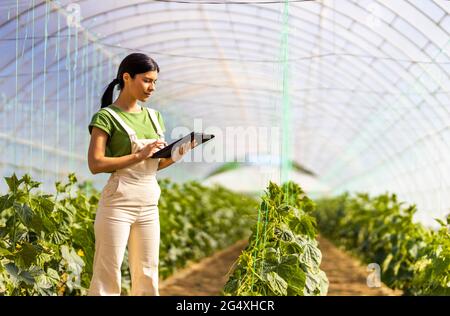 Jeune agricultrice utilisant une tablette numérique dans une ferme biologique Banque D'Images