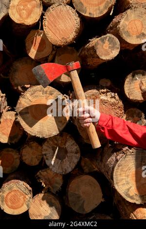 Cric de bois d'œuvre tenant la hache devant les grumes de l'industrie du bois d'œuvre Banque D'Images