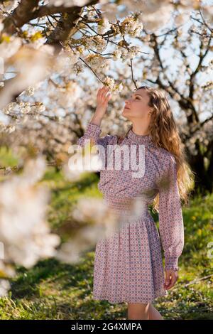 Belle femme touchant des fleurs de cerisier au printemps Banque D'Images