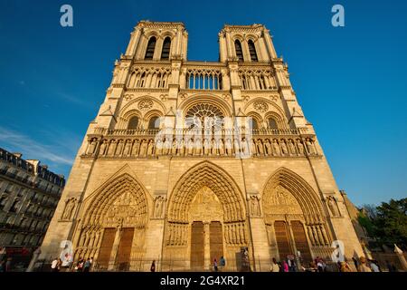 FRANCE, PARIS (75004), PARVIS NOTRE-DAME - PLACE JEAN-PAUL II, CATHÉDRALE NOTRE-DAME DE PARIS Banque D'Images