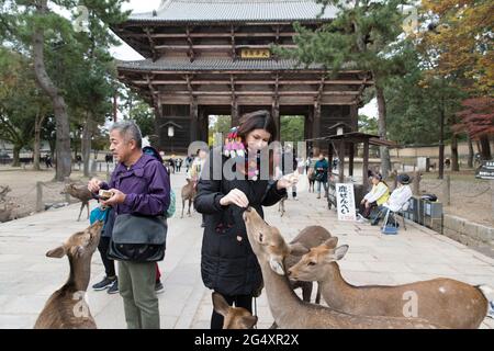 Les gens qui nourrissent des cerfs dans le parc Nara, devant la Grande porte sud du temple Todai au Japon Banque D'Images