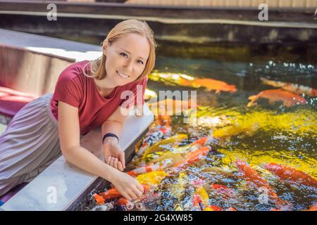 La femme nourrit le poisson koi. Magnifique poisson koï nageant dans l'étang Banque D'Images