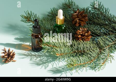 Deux flacons compte-gouttes d'huile essentielle et de branches de sapin. Aromathérapie de Noël et concept spa Banque D'Images