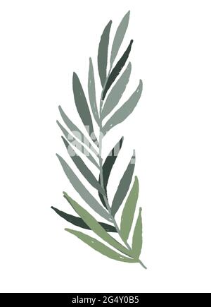 Feuille de palmier dessin de style boho Banque D'Images