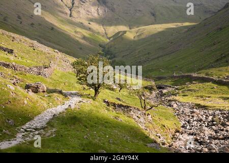 La voie menant au pont Stockley, à Borrowdale, dans le district de English Lake Banque D'Images
