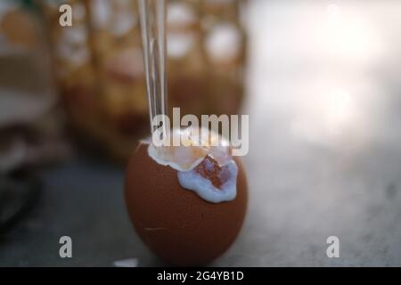 Un demi-œuf bouilli, partiellement épluché, est prêt à consommer, avec une cuillère en plastique collée Banque D'Images