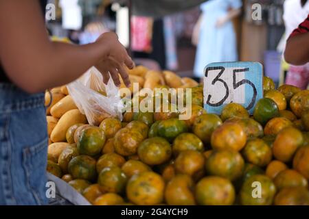 Une femme choisit des oranges sur le marché du village éloigné, avec des prix écrits à la main Banque D'Images