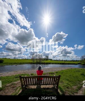 Une femelle mature s'assit sur un banc surplombant la rivière Ribble, à Clitheroe, dans le Lancashire, au Royaume-Uni. Banque D'Images