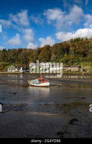 Lerryn ; River ; Cornwall ; Royaume-Uni Banque D'Images