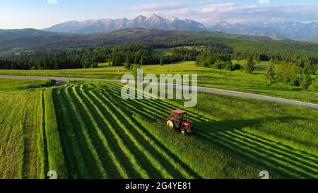 Tracteur fauchant l'herbe avec de belles hautes montagnes en arrière-plan, vue aérienne. La fabrication de foin dans le village de montagne. Tracteur pendant la récolte. Banque D'Images