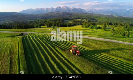 Tracteur fauchant l'herbe avec de belles hautes montagnes en arrière-plan, vue aérienne. La fabrication de foin dans le village de montagne. Tracteur pendant la récolte. Banque D'Images