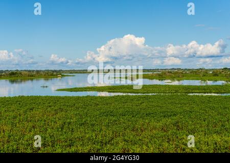 Vue sur la rivière Itaya depuis le Boulevard à Iquitos, Pérou Banque D'Images