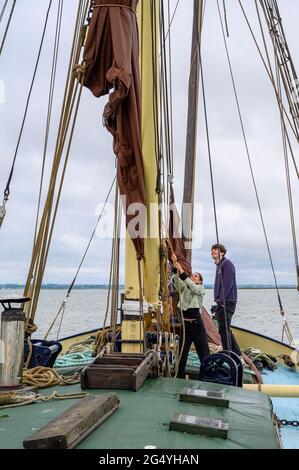 Apprendre les cordes: Deux passagers sur la barge 'Edith May' aidant le skipper Ed Gransden à lever une voile sur un voyage dans l'estuaire de la Tamise, Kent, Angleterre. Banque D'Images