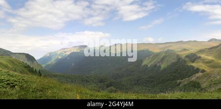 Vue panoramique sur les montagnes dans le parc national Biogradska Gora en été. Monténégro Banque D'Images