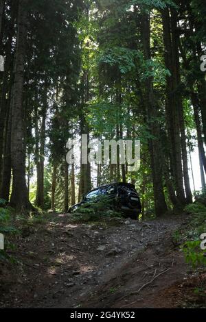 Des destinations tout-terrain incroyables. La voiture se tient sur un hilalock dans la forêt, entouré de hauts arbres. Aventure sur terrain accidenté. Le feuillage est lacé W. Banque D'Images