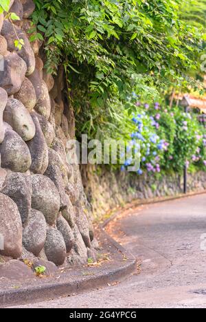 tokyo, japon - juin 15 2021 : gros plan sur le mur en pierre du parc Asukayama, le long de la pente sinueuse de la route Asuka-no-komichi célèbre pour ses fleurs Banque D'Images