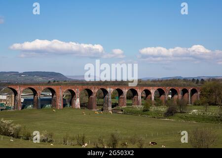 Arches Whalley. Viaduc de train en brique rouge dans la vallée de ribble. Scène ferroviaire britannique Banque D'Images