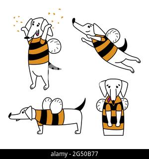 Un ensemble de chiens de dessin animé amusants. Joli dachshund dans un costume d'abeille avec ailes. Mascotte de chien pour affaires, compagnie. Caractère pour autocollants, logos, étiquettes Illustration de Vecteur