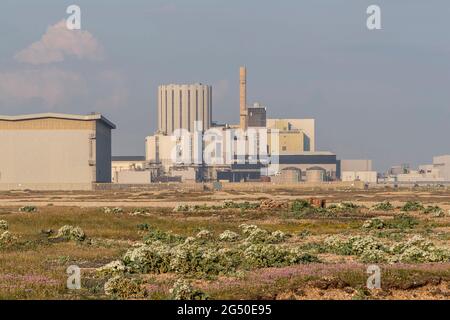 Station nucléaire de Dungeness vue de Dengemarsh Road de l'autre côté du shingle, Romeny Marsh, Kent, Angleterre, Royaume-Uni. Banque D'Images