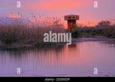 Réserve naturelle de hula au coucher du soleil, Israël Banque D'Images